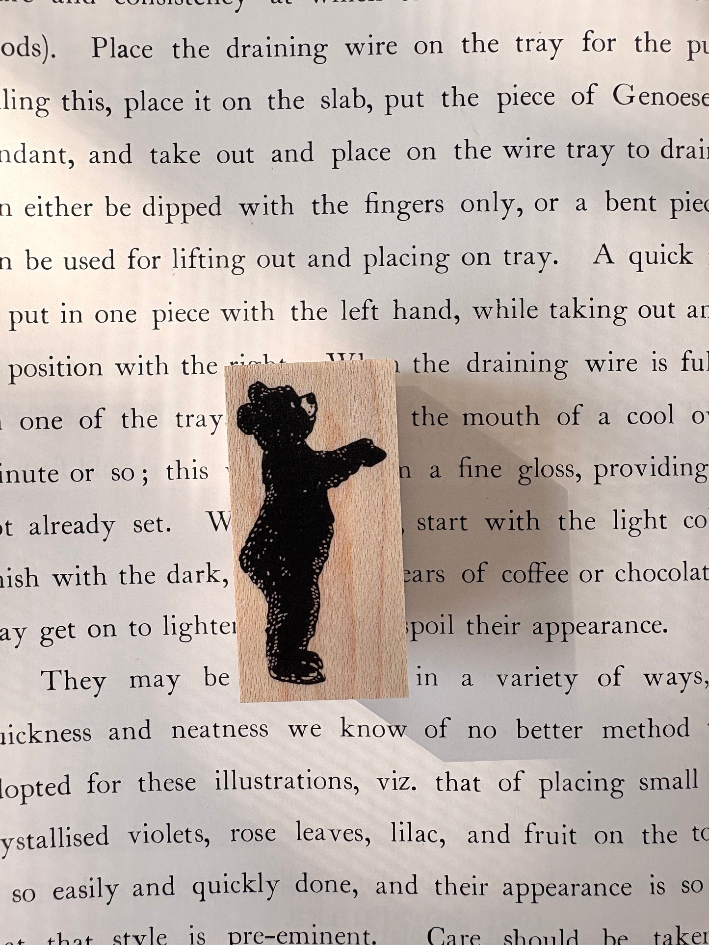 子グマスタンプ　KS12